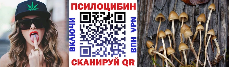 Галлюциногенные грибы мухоморы  где купить   Томари 